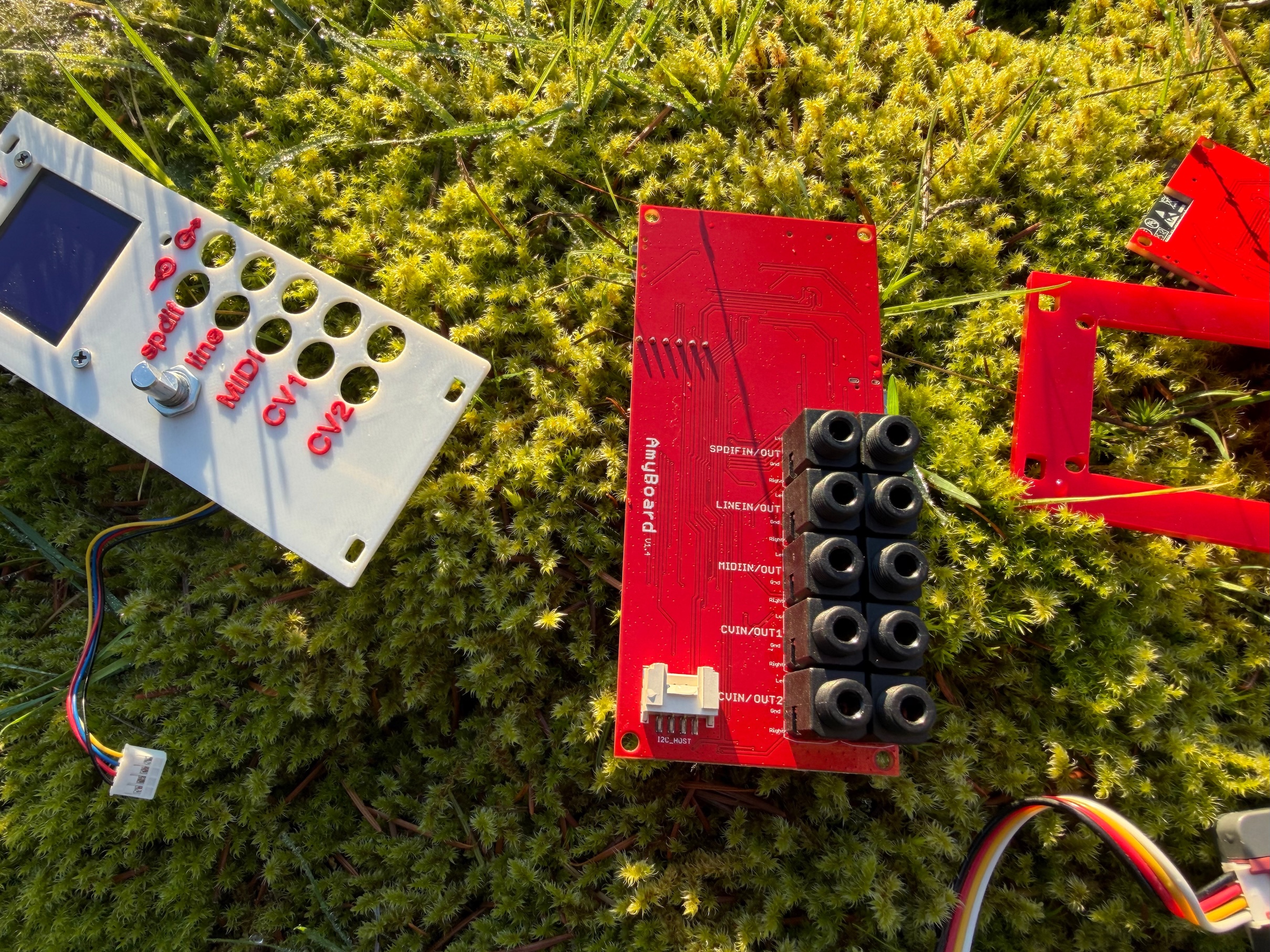 AMYboard on moss